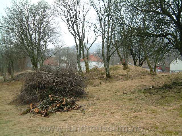 Ryddeaksjon Lund Ungdomsskole 2